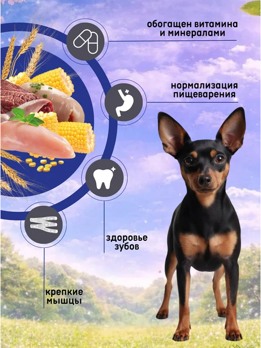 Сухой корм Порция любви для собак, мелкие, телятина, 10 кг, фото 2