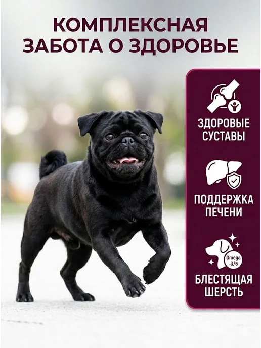 Сухой корм AWARD Кормдля Свежим для собак, индейка, мясо, 2 кг, фото 3