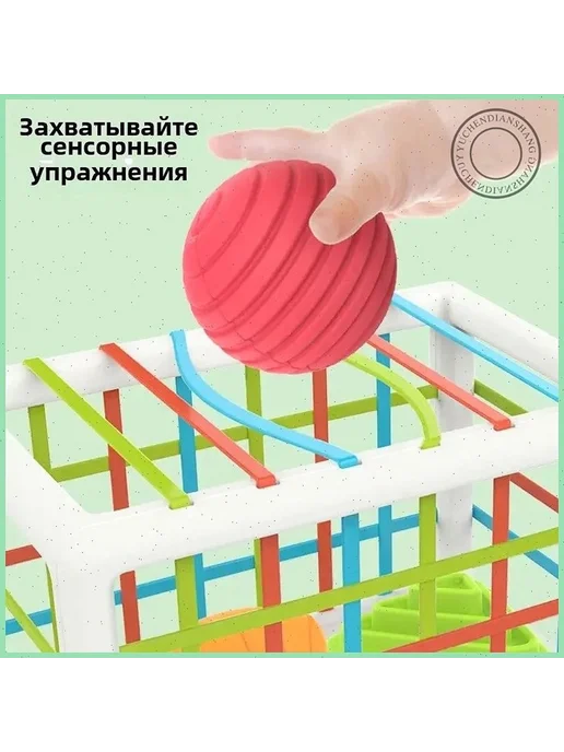Развивающий сортер Монтессори для детей до 1 года, вариант, фото 4
