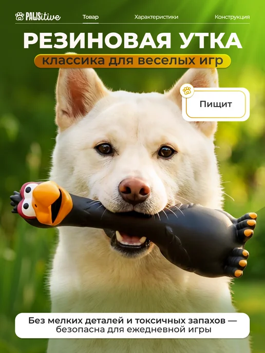 PAWSitive Игрушка для собак резиновая, черный
