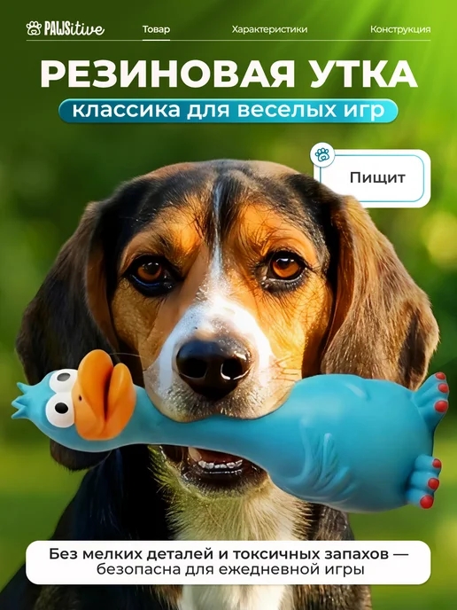 PAWSitive Игрушка для собак резиновая, голубой