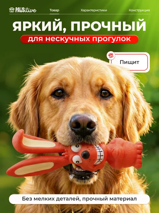 PAWSitive Игрушка для собак резиновая, оранжевый