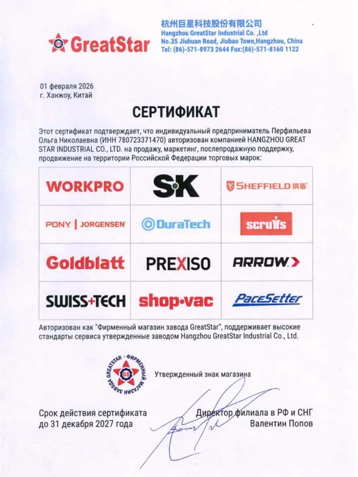 WORKPRO Набор бит 50 мм × SL6 WP408024, 10 шт, фото 4