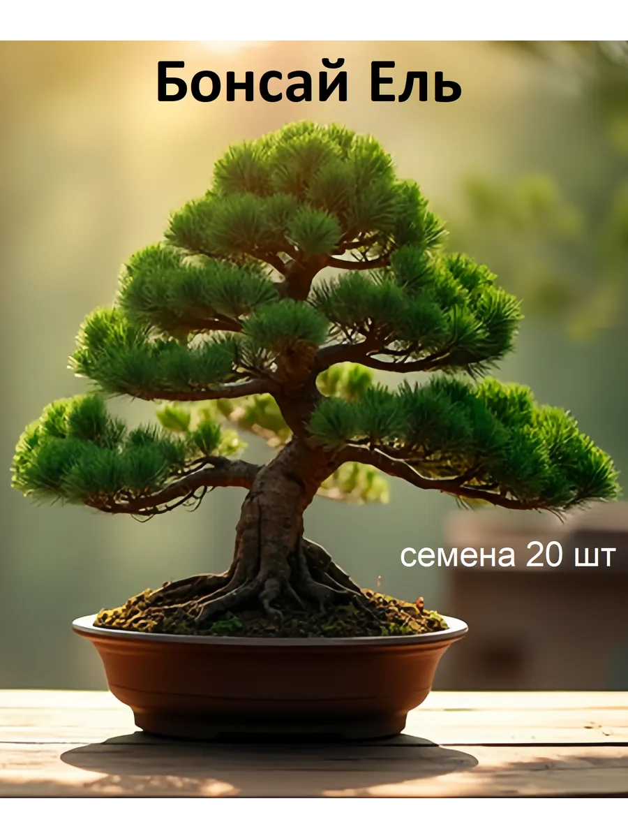 Бонсай Ель семена 20 шт