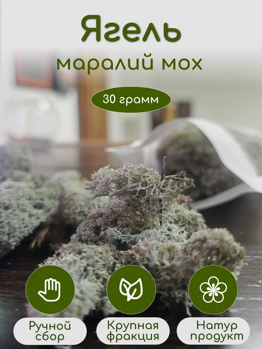Живые травы Ягель ( Маралий мох) 30г, 30 г, фото 2