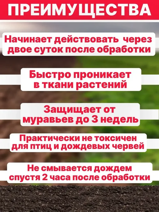 Средство от муравьев в доме и в саду 50г 5шт, 50 г, 5 шт, фото 2