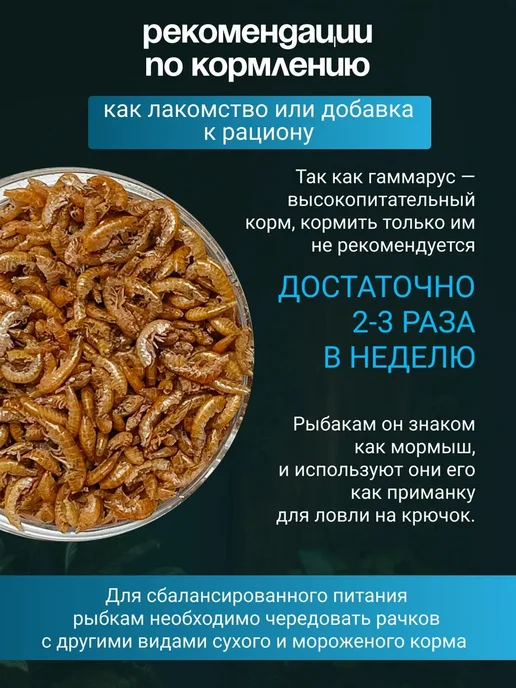 Беговая Черепаха Гаммарус корм для красноухих черепах, крыс, хомяков 200 гр, 200 г, фото 5