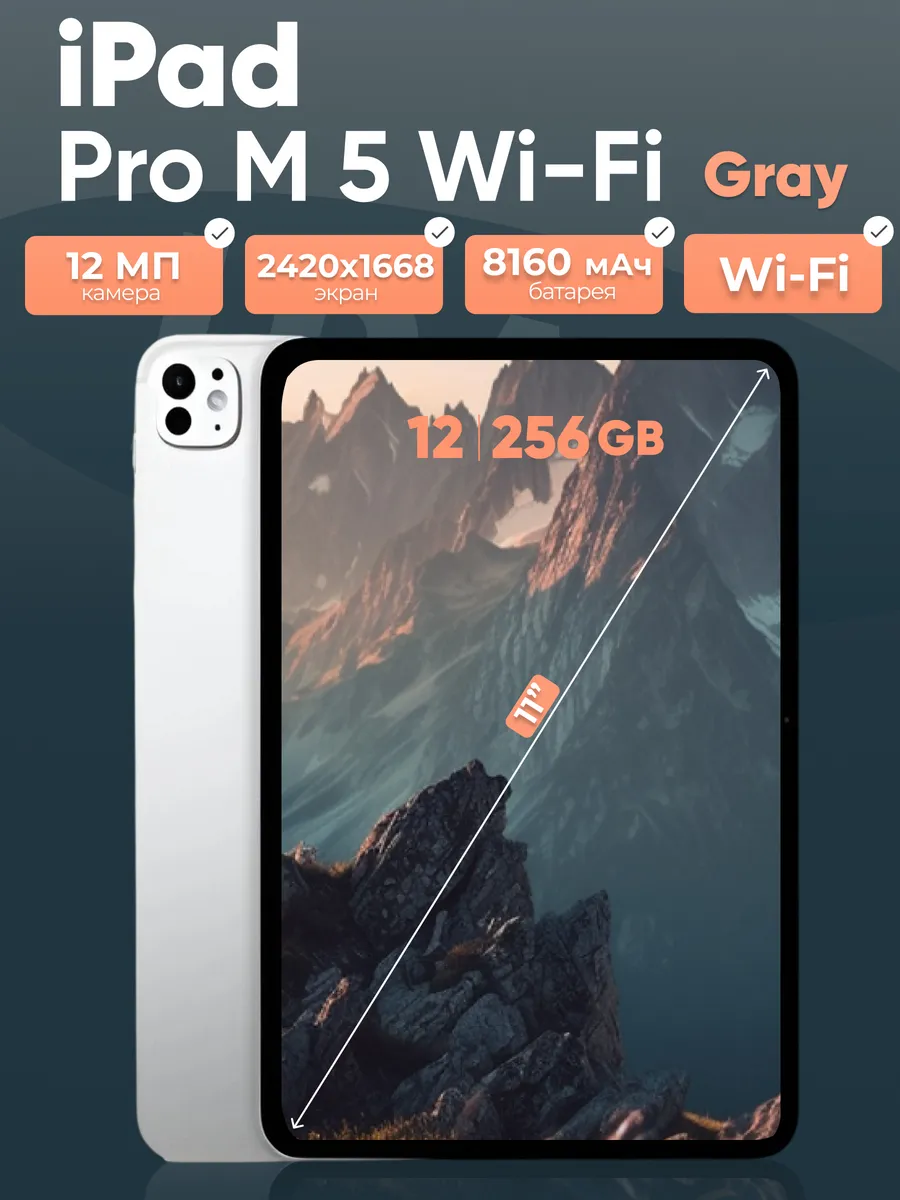 Apple iPad Pro M5 11 256 Gray WiFi
