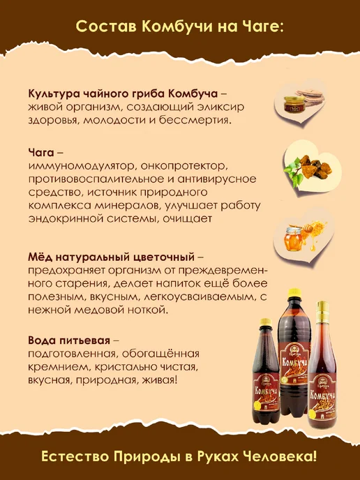 Промёд Комбуча напиток чайный гриб на Чаге и меду 2 х1 л, 2x1, 1 л, фото 2