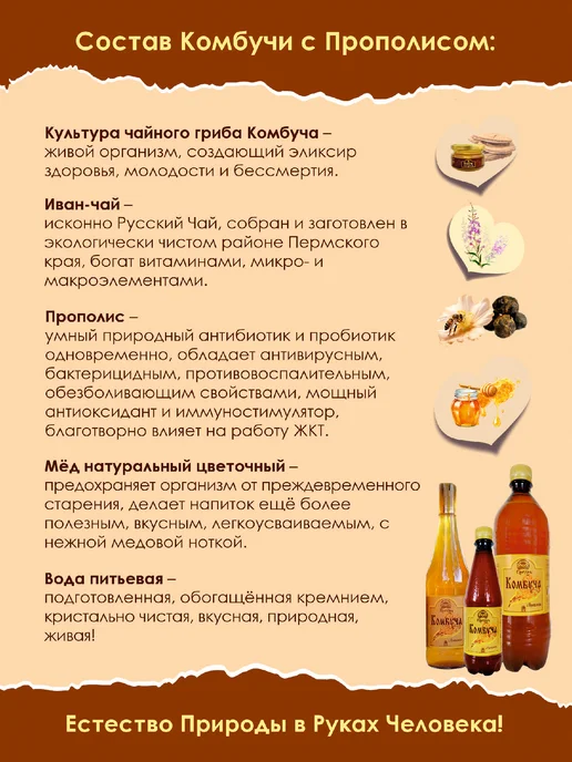 Промёд Комбуча напиток чайный гриб с Прополисом на меду 2 х1л, 1 л, фото 2