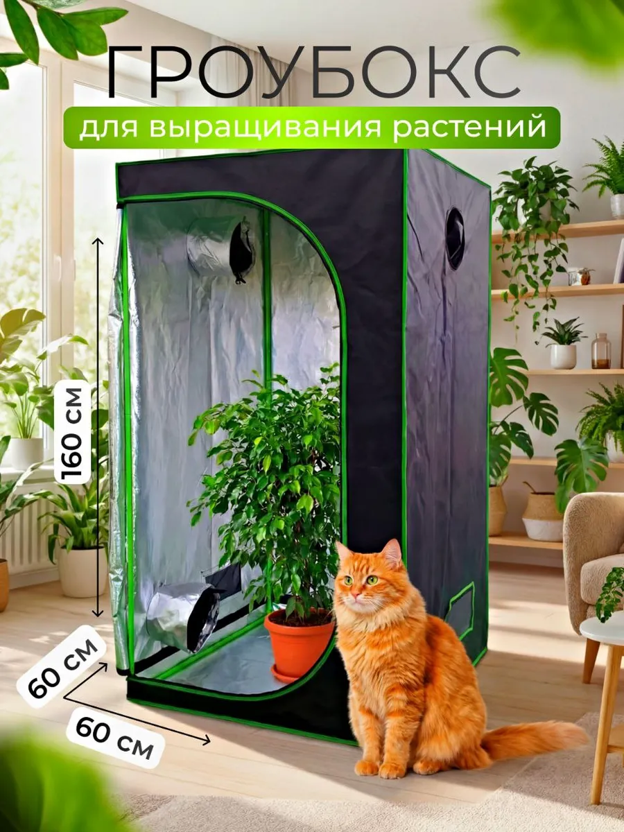 Гроубокс 60х 60х 160