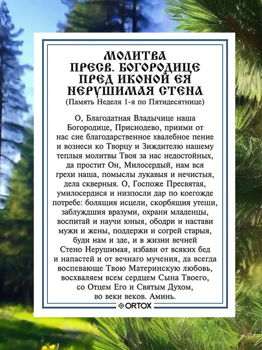 Серебряные знаки Икона Божией Матери "Нерушимая стена", ламинированная 6*8 см, 6x8 см, фото 2