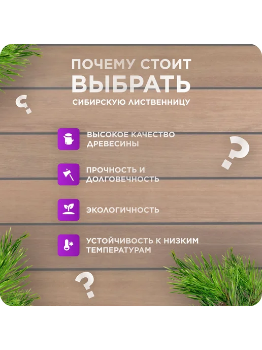 Палубная доска из лиственницы сорт Д 28х120х2500 - 3 шт, 120x3000, 1 шт, фото 2