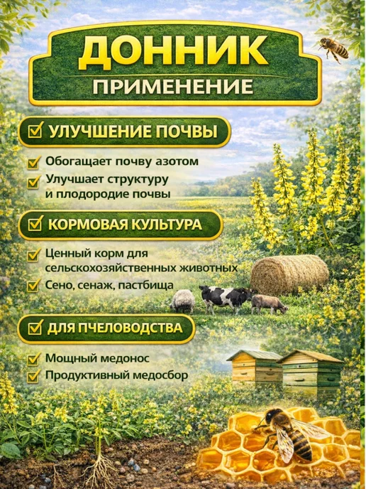 Донник семена медонос сидерат, вариант, фото 2