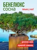 Интернет‑магазин Wildberries: широкий ассортимент товаров - скидки каждый день!