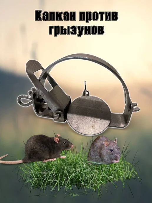 СуаС Капкан против крыс, мышей, грызунов, серый