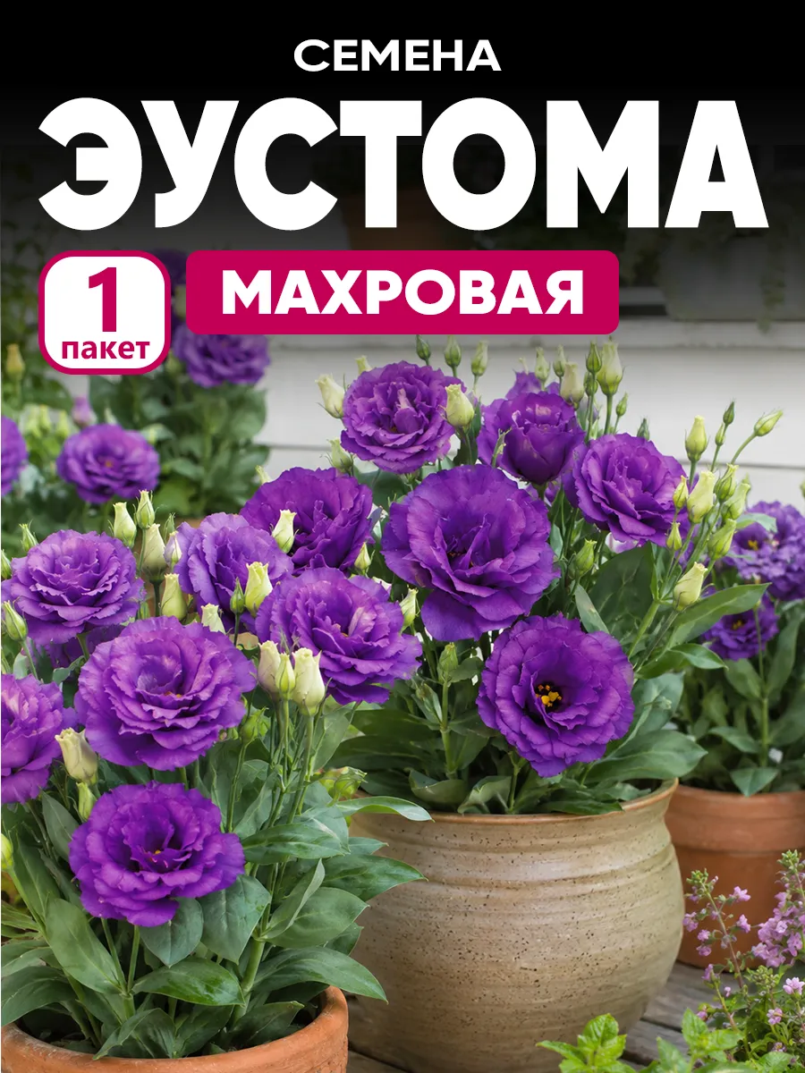 Семена эустомы