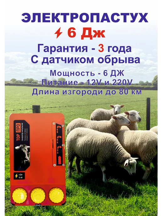 Электропастух 6 Дж (Тор – 6 ПРО), вариант