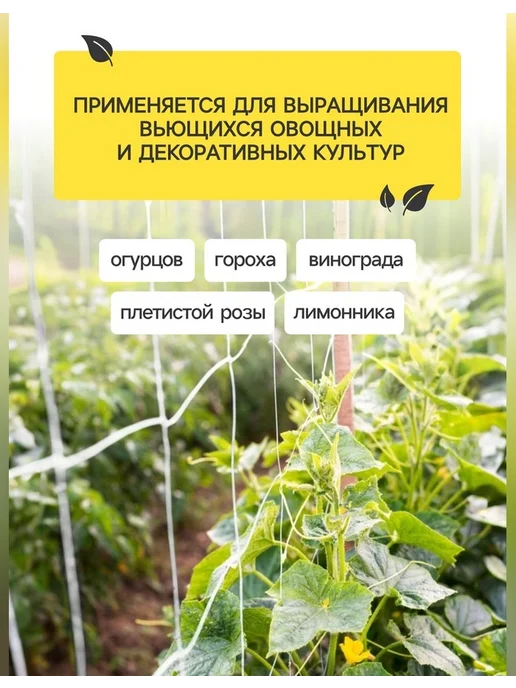 Greengo Садовая шпалерная сетка 5×2 м для растений, 5x2 м, фото 2
