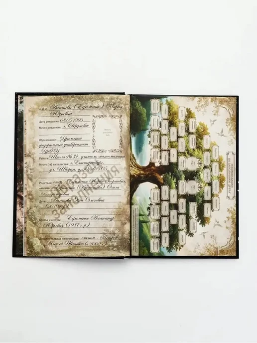 Стильная семейная книга для записи истории, вариант, фото 2
