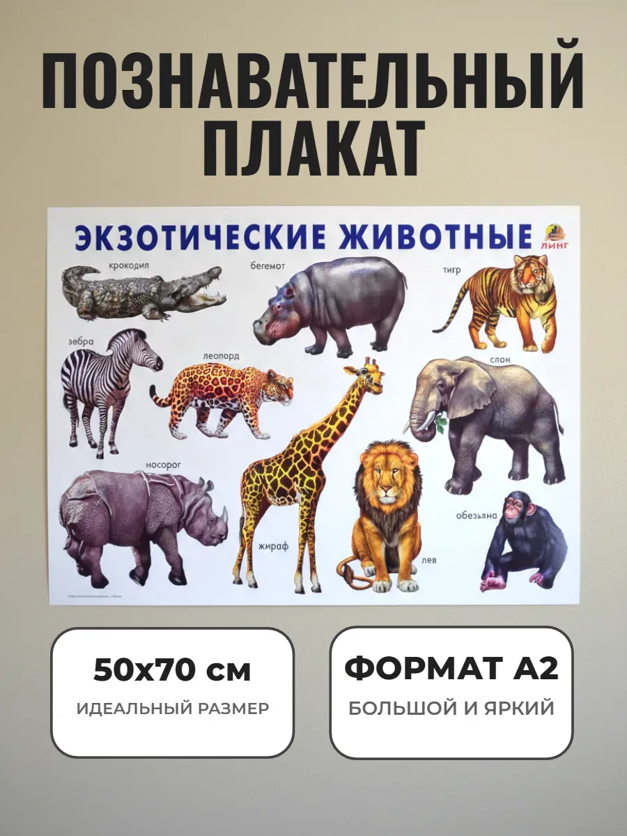 Развивающий плакат А2 для дет сада и школы. Животные