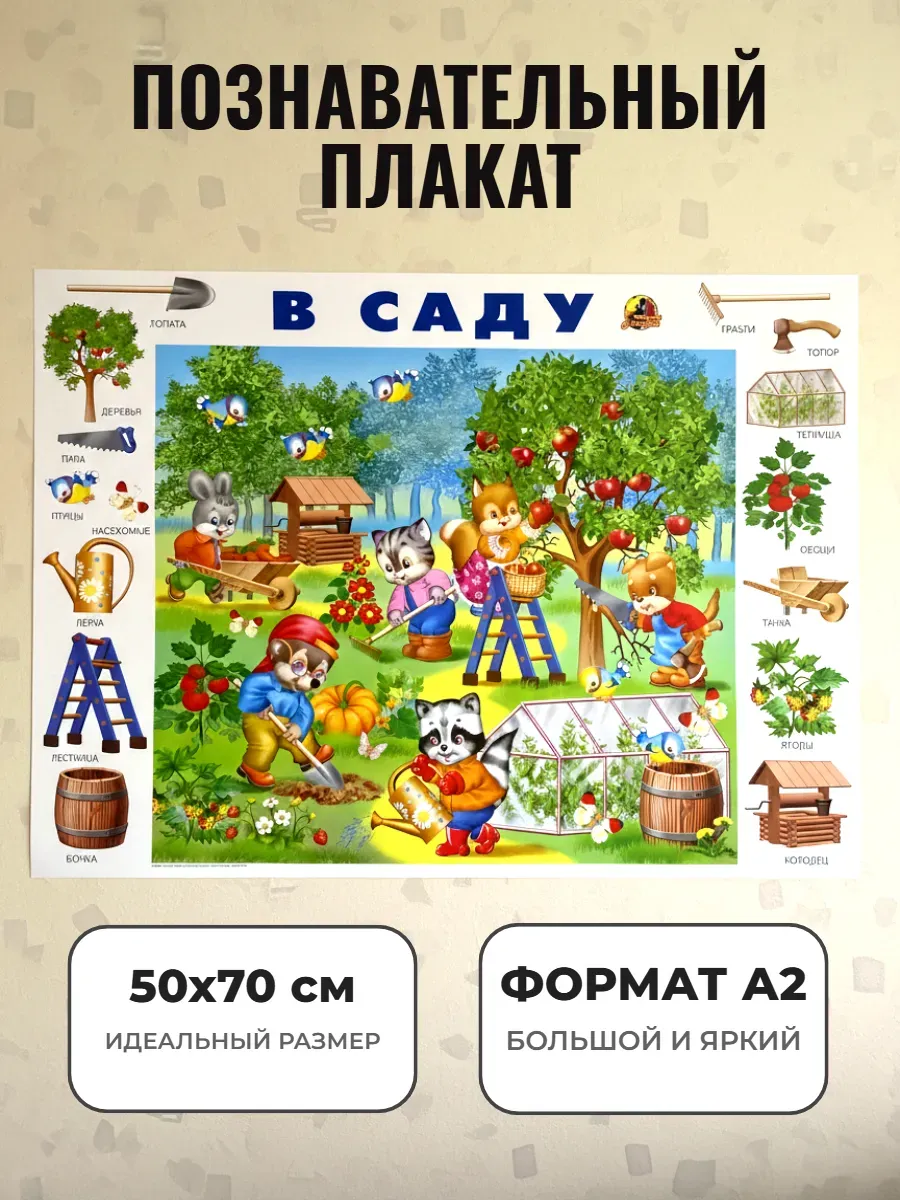 Развивающий плакат А2 для детского сада и школы. В саду