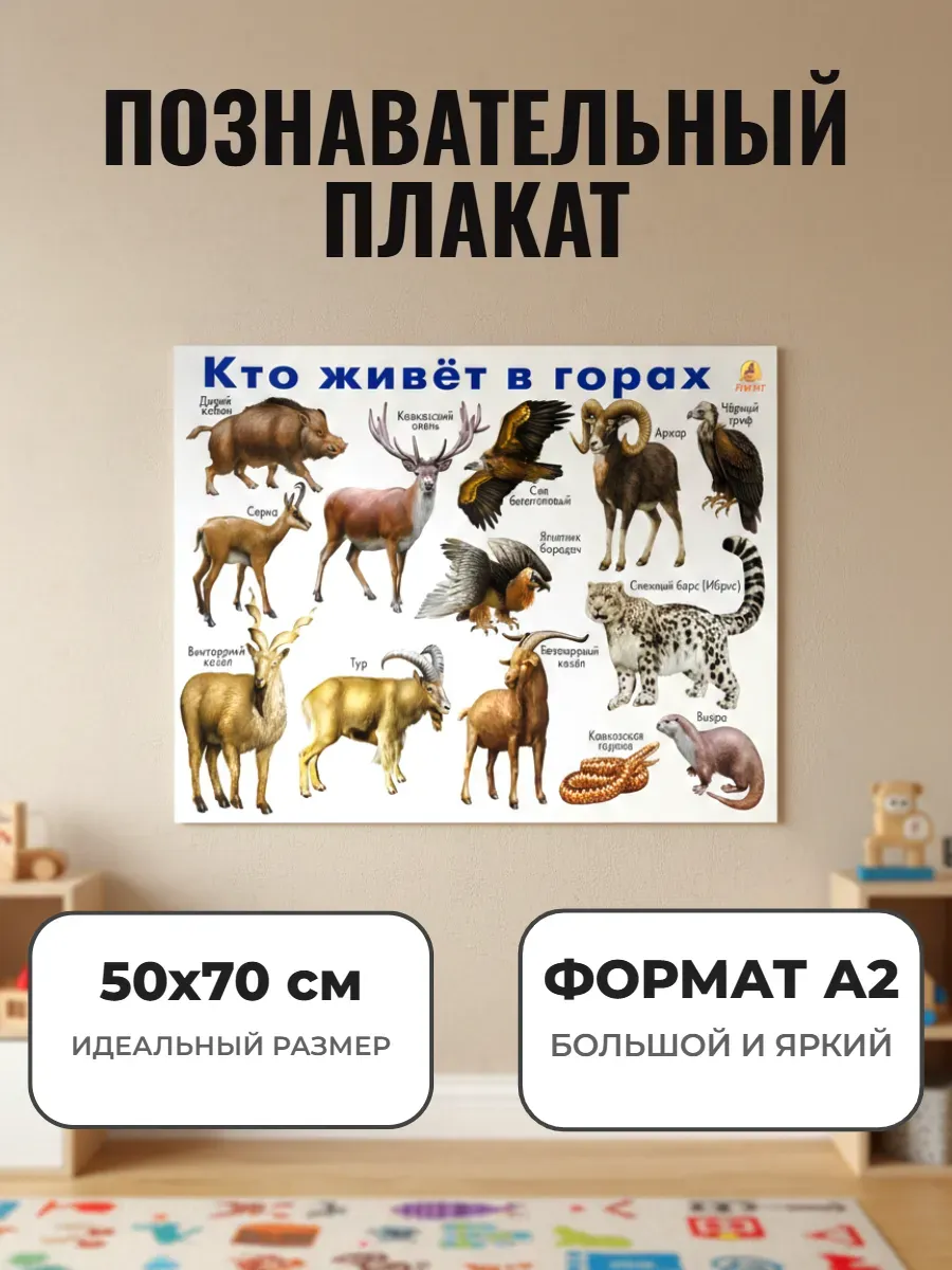 Развивающий плакат А2 для детского сада и школы. Животные