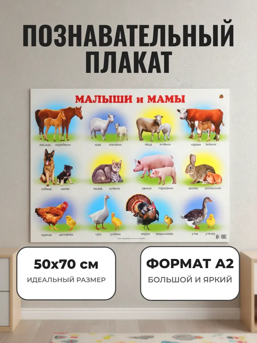 Плакат животные малыши и мамы для детей сад школа