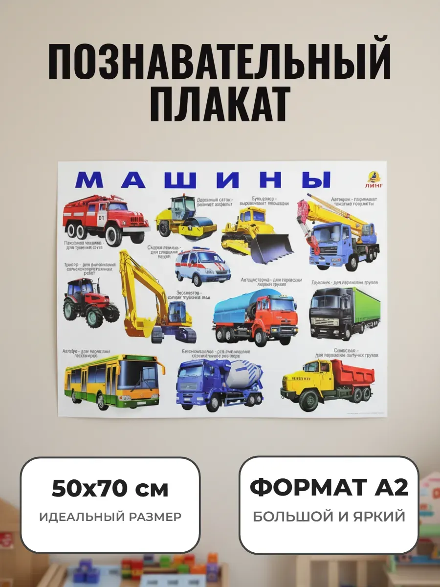 Развивающий плакат А2 для детского сада и школы. Машины