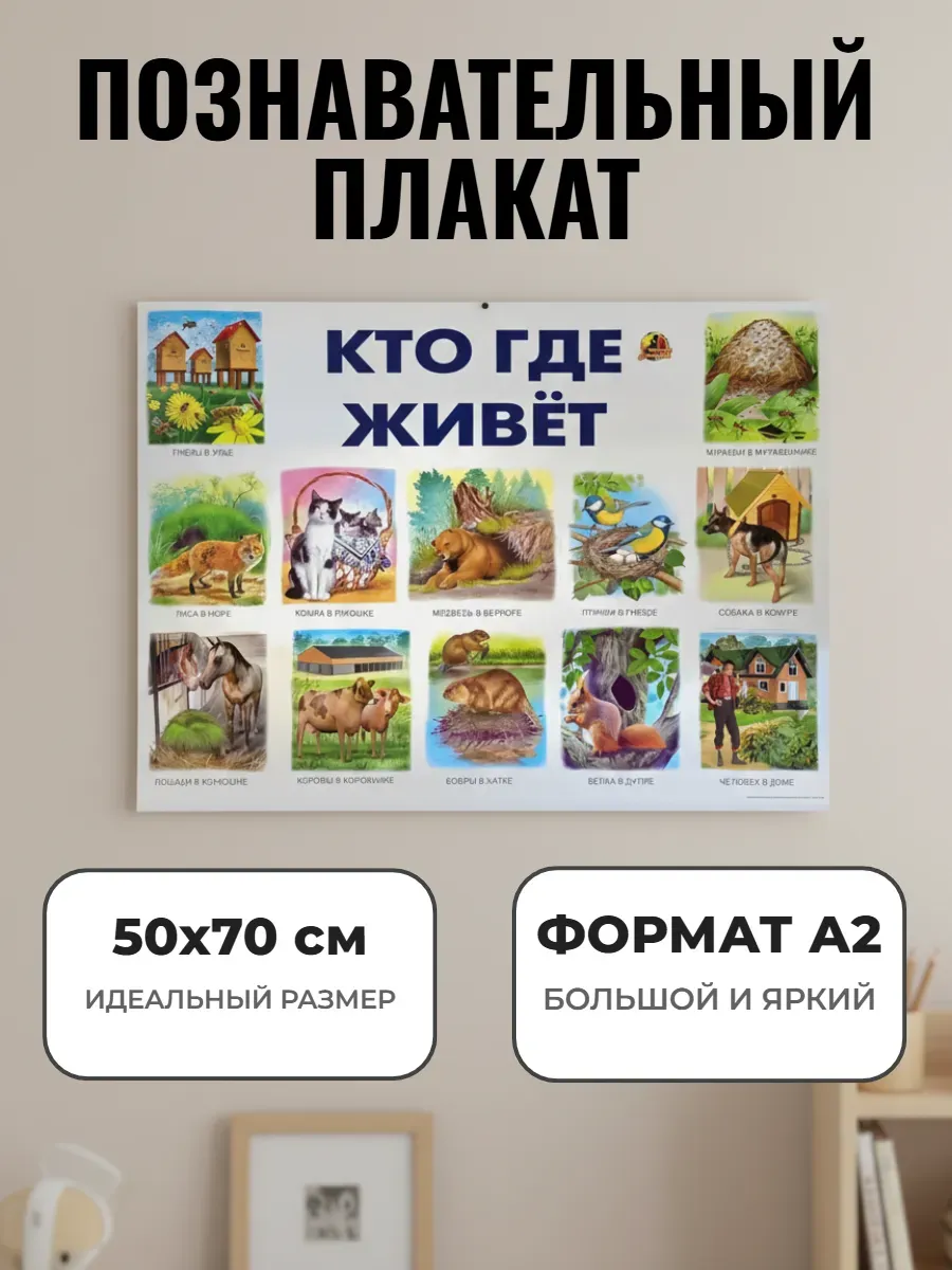 Развивающий плакат А2 для дет сада и школы. Кто где живет