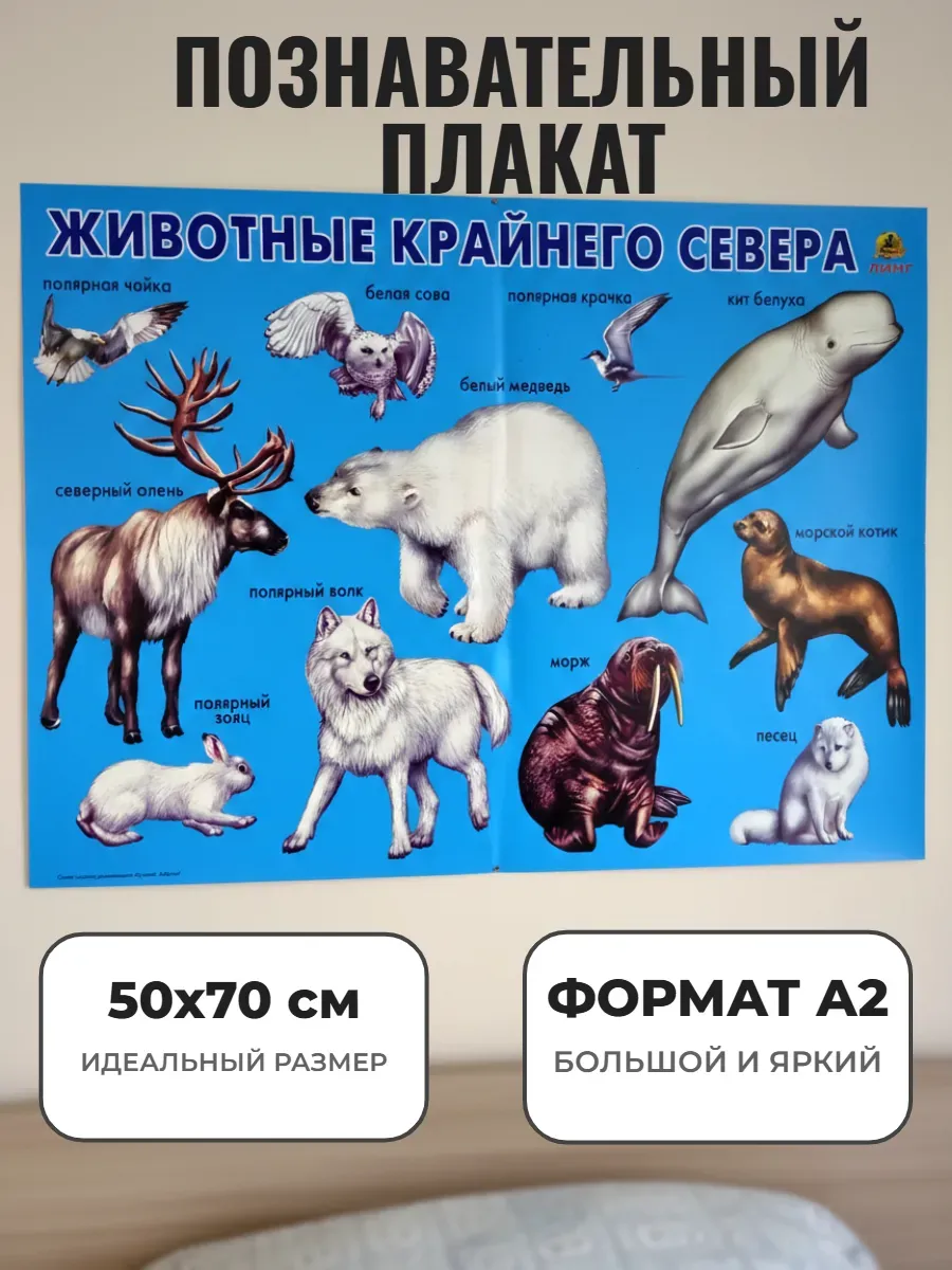 Развивающий плакат А2 для детского сада и школы. Животные