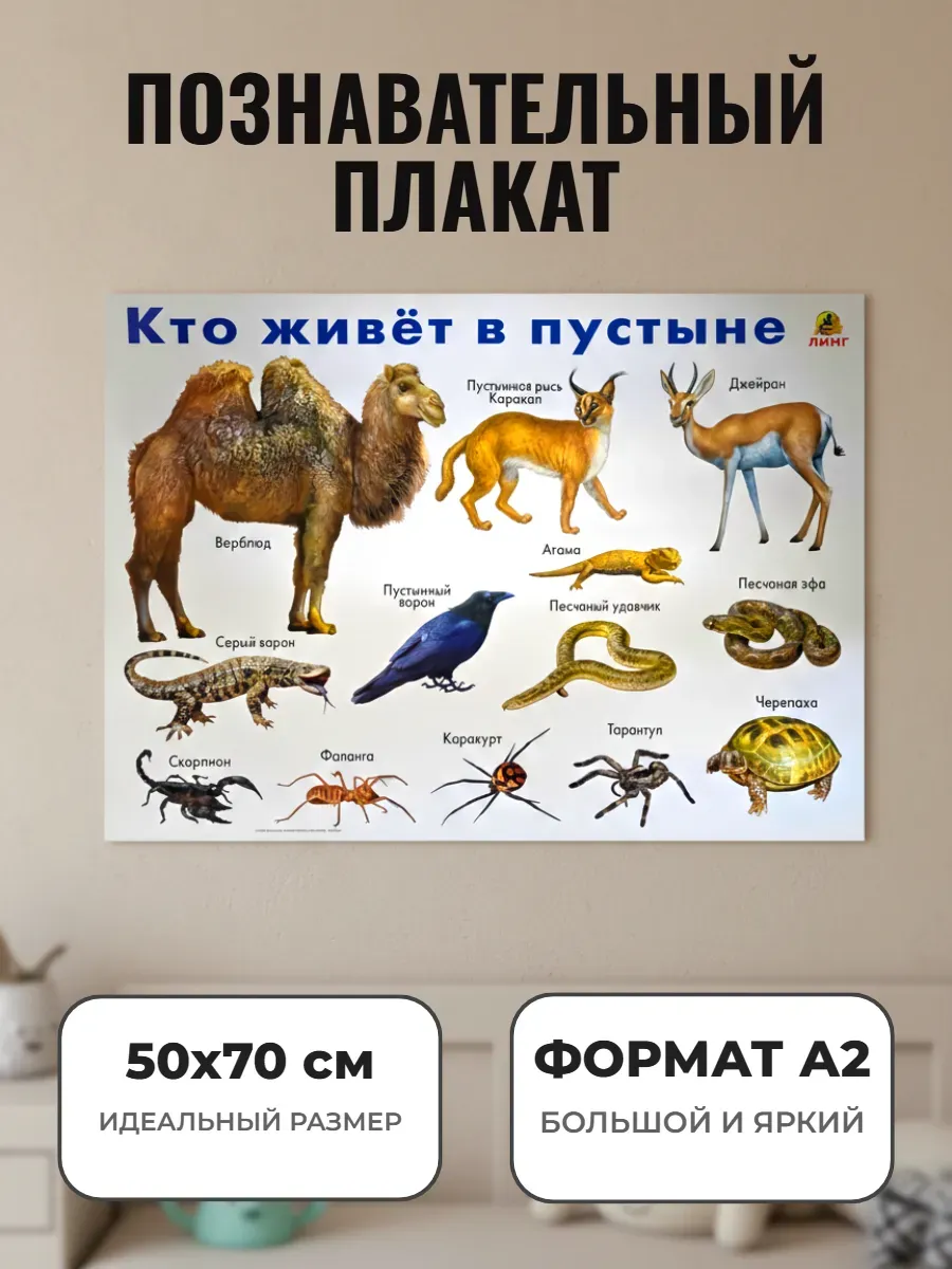Развивающий плакат А2 для детского сада и школы Животные