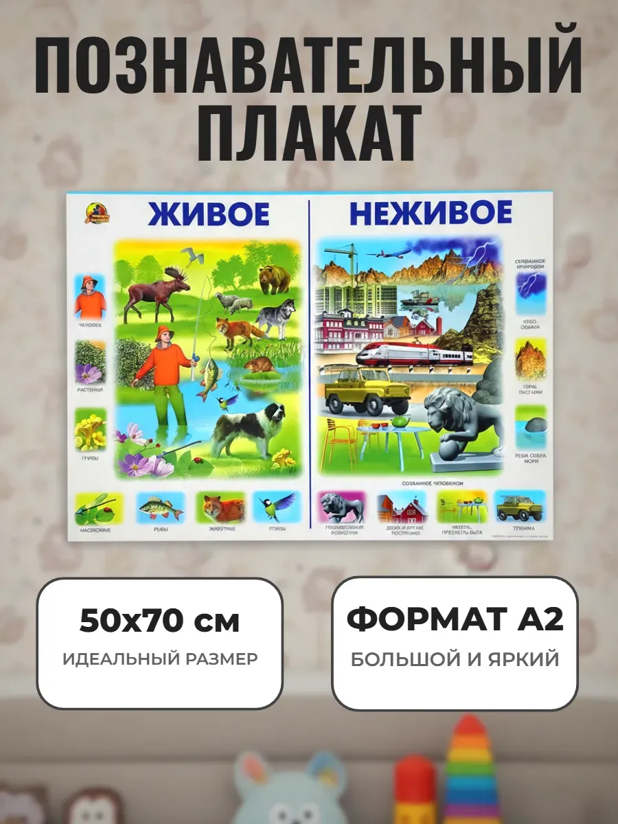 Развивающий плакат А2 для дет сада и школы. Живое - неживое