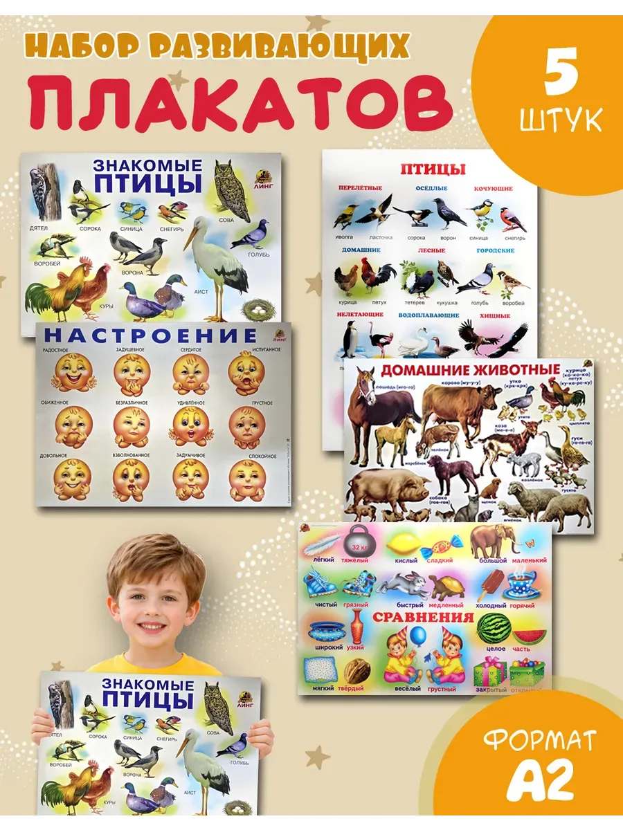 Набор 5 больших обучающих плакатов А2 для дет сада и школы