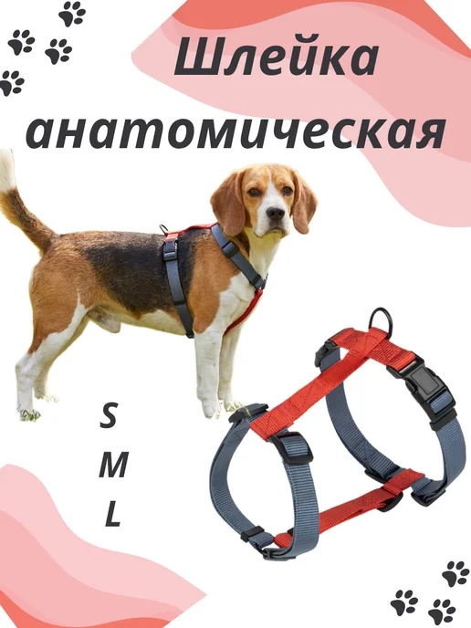 Zoodoly Шлейка для собак мелких средних крупных пород анатомическая, синий
