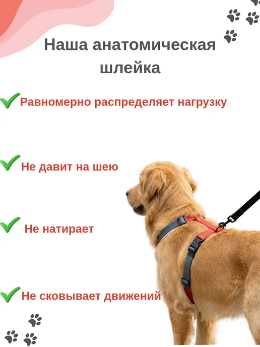 Zoodoly Шлейка для собак мелких средних крупных пород анатомическая, синий, фото 4