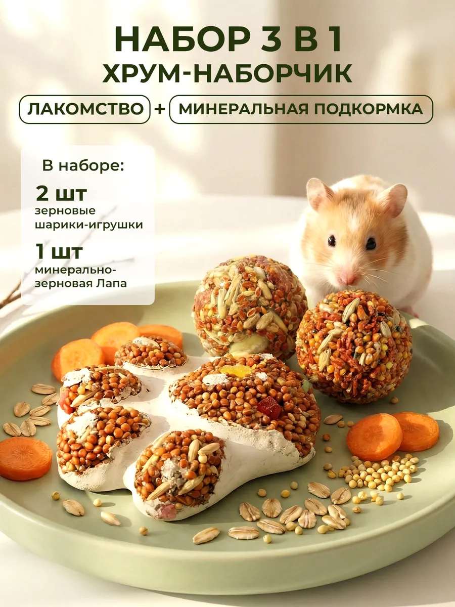 Лакомства и минеральный камень для грызунов