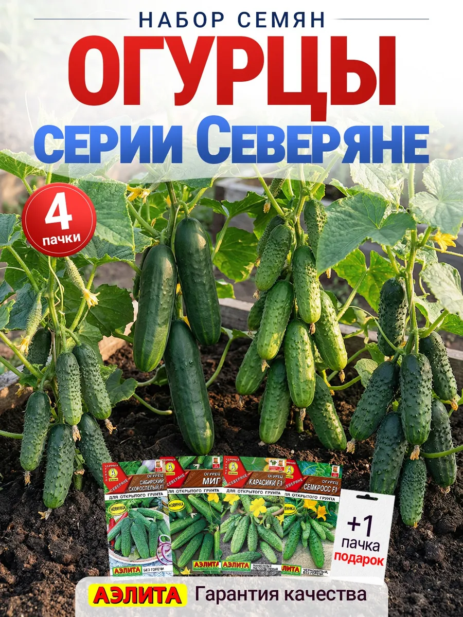 Семена огурцы серии Северяне, 4 пачки
