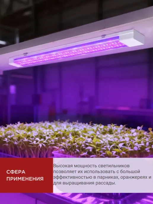 Фитолампа для растений 55Вт 120см красно-синий 2 штуки, 55 Вт, фото 2