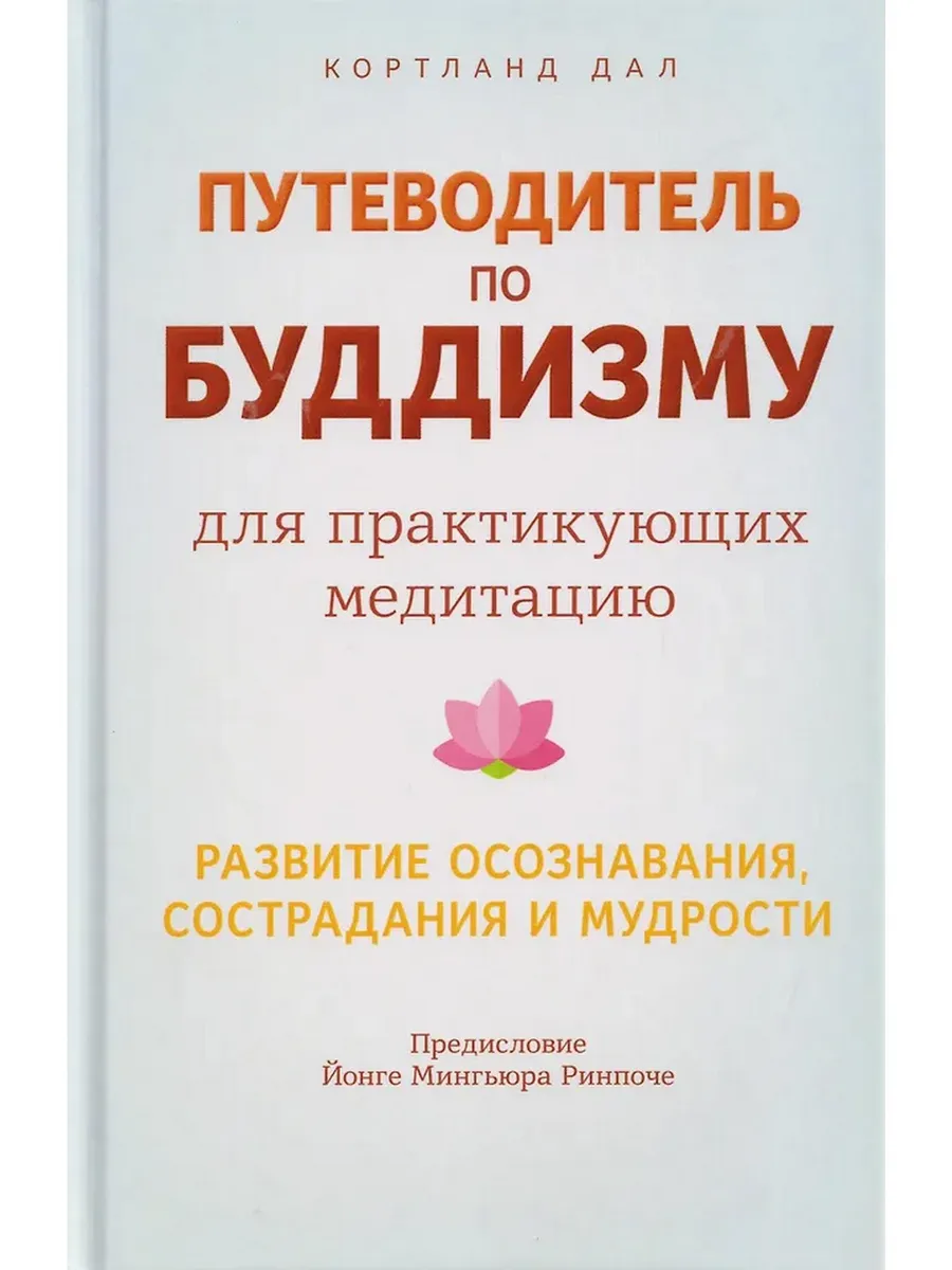 Путеводитель по буддизму для практикующих медитацию