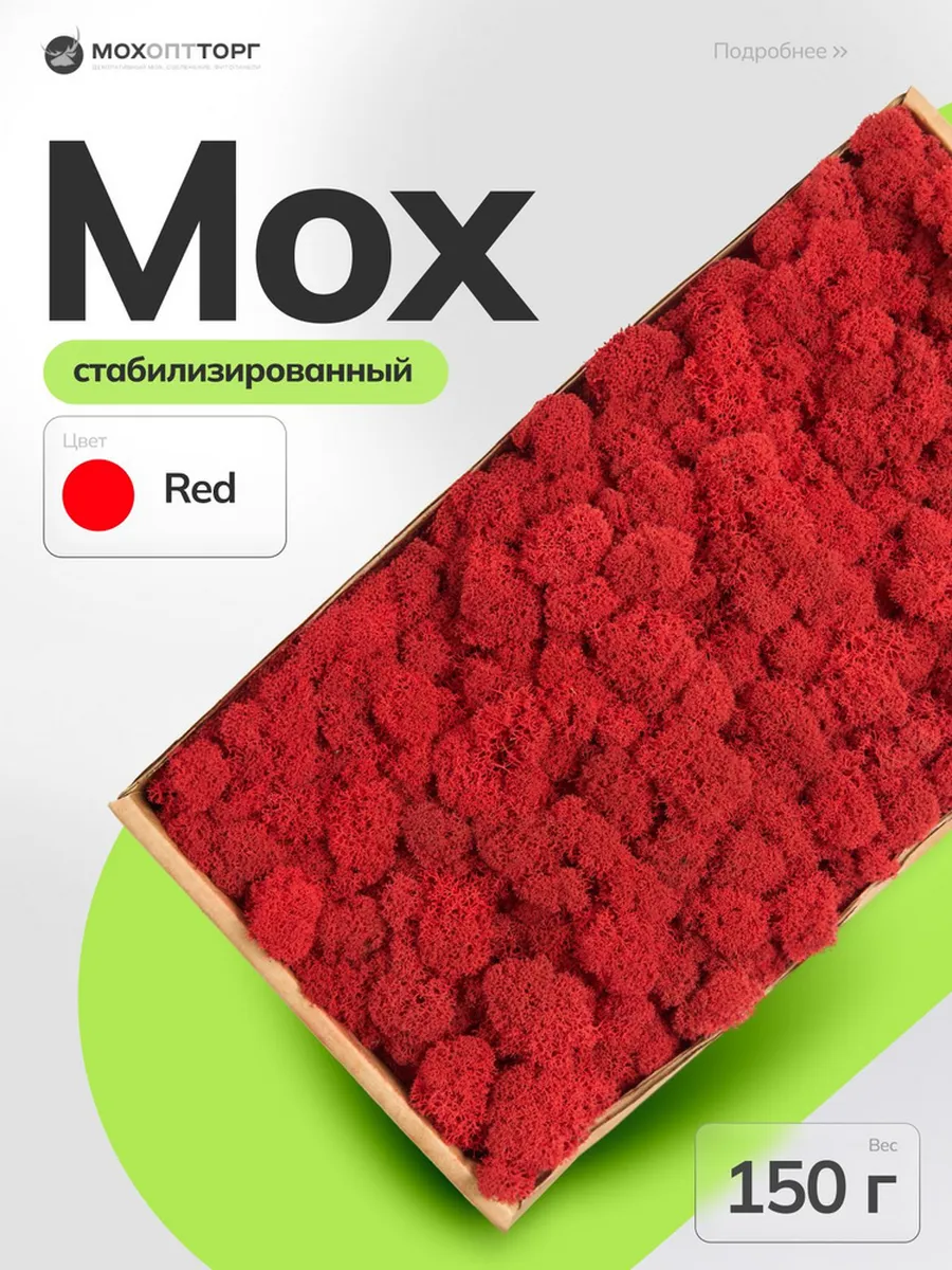 Мох стабилизированный Красный 150 гр