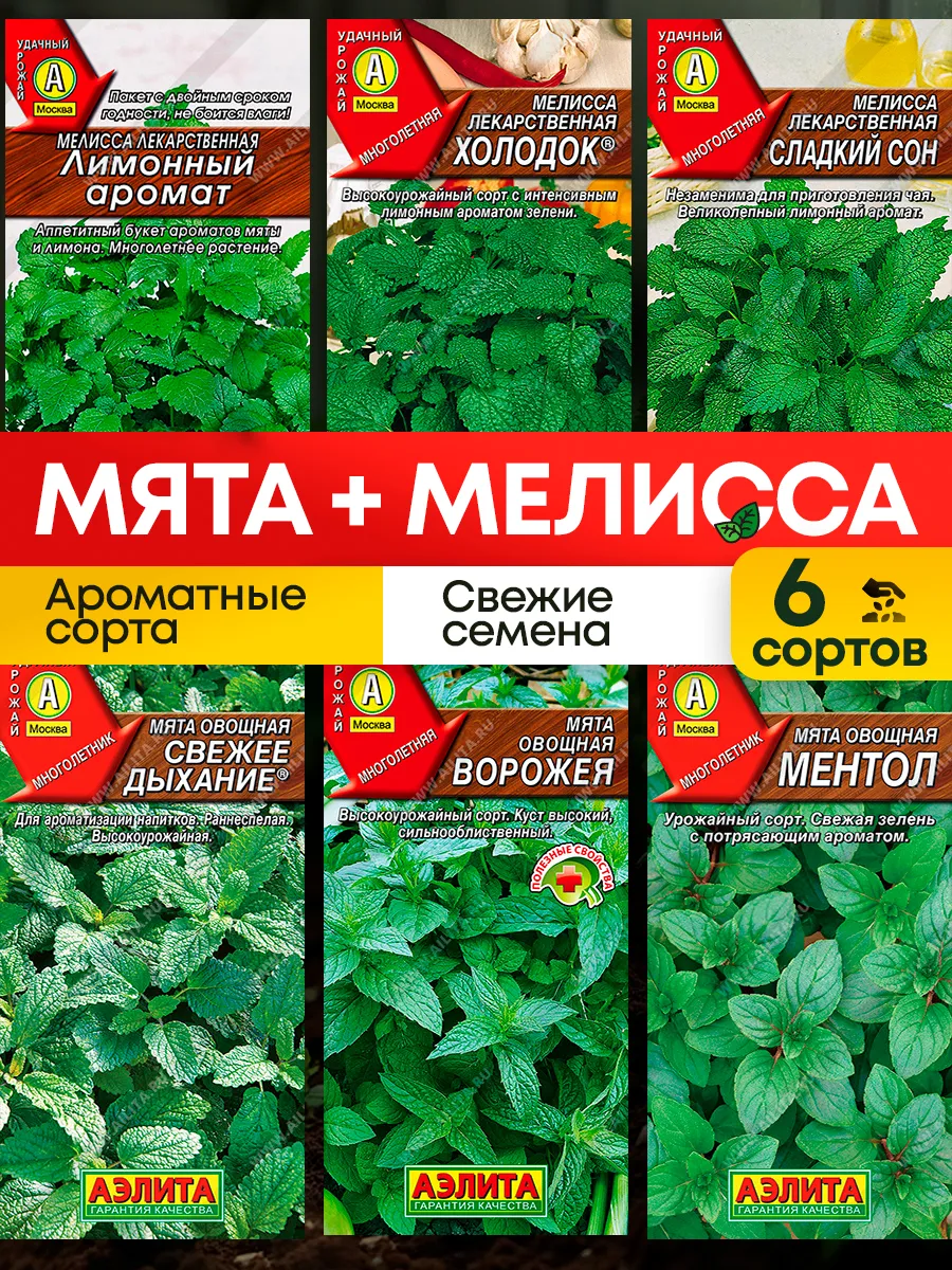 Мята Мелисса Семена