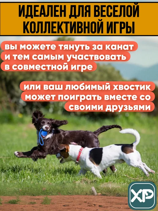 XPAWS Мячик для собак на веревке, синий, фото 3