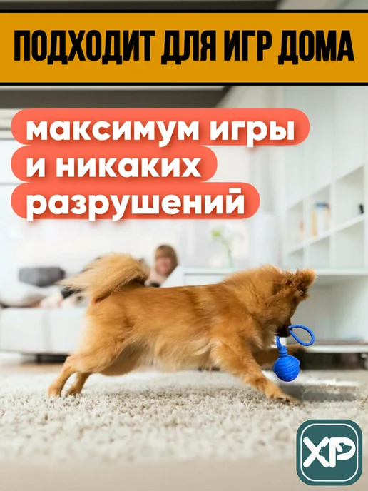 XPAWS Мячик для собак на веревке, синий, фото 7