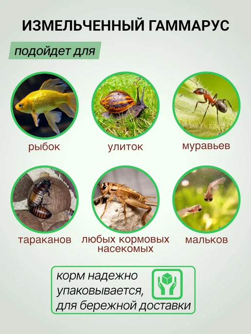 Futter Гаммарус для рыбок аквариумных, улиток 50 грамм, вариант, фото 3