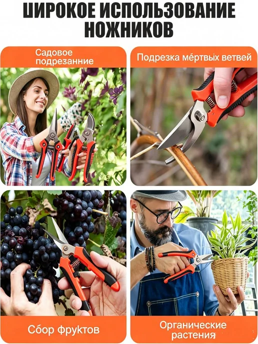 Секаторы садовые ручные набор флористические, вариант, фото 4