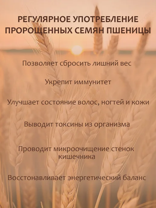 Здоровая жизнь Зёрна пшеницы пророщенные с яблоком и корицей 35г - 5 пачек, 35 г, 5 шт, фото 2