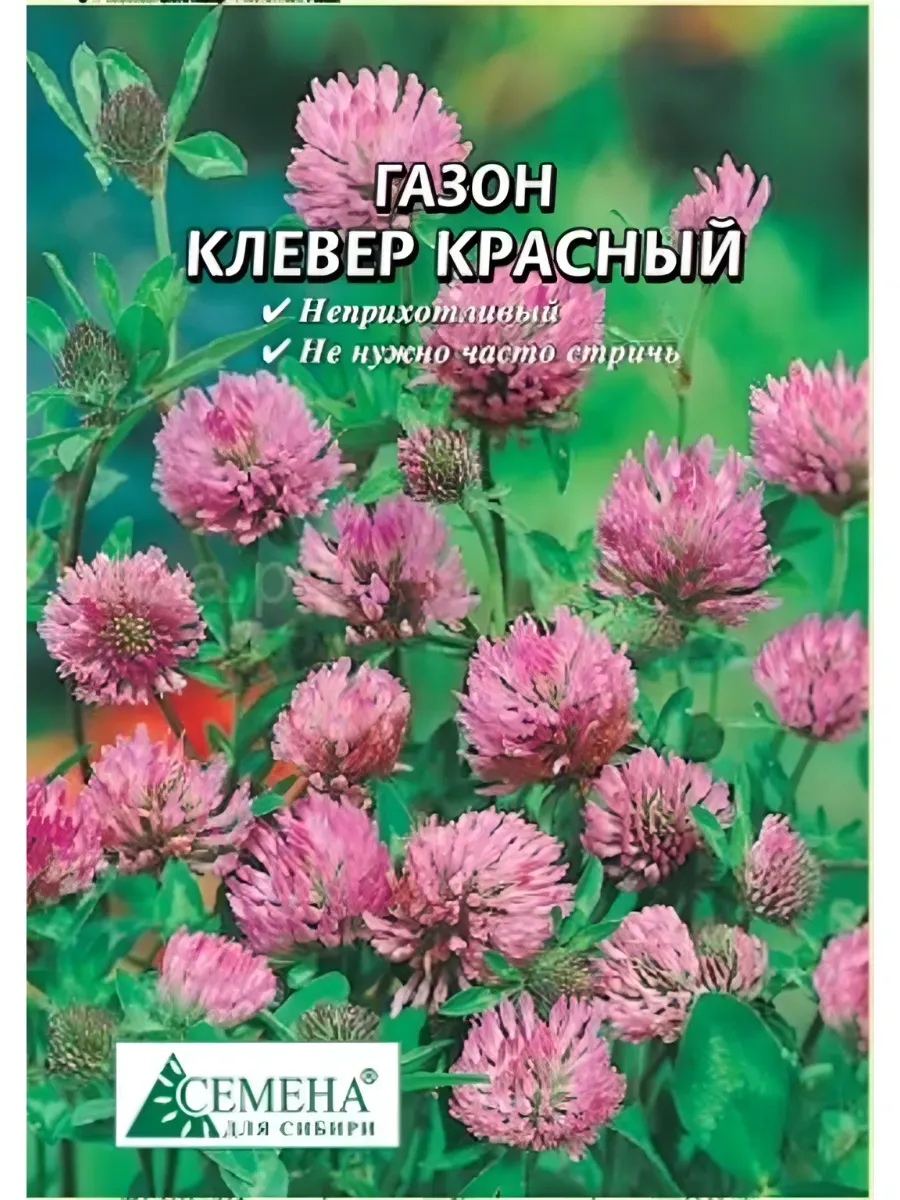 Семена Газон Клевер красный