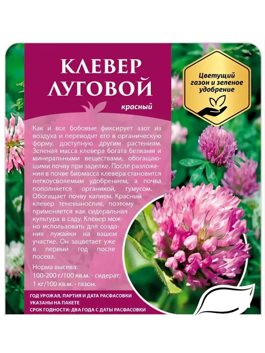 Семена Газон Клевер красный