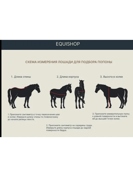 EQUISHOP Попона флисовая для лошади черная без капора, бежевый, фото 5